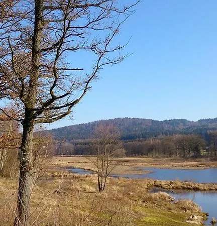 Perlsee Ferienhauser Camping Mobilheime Waldmünchen